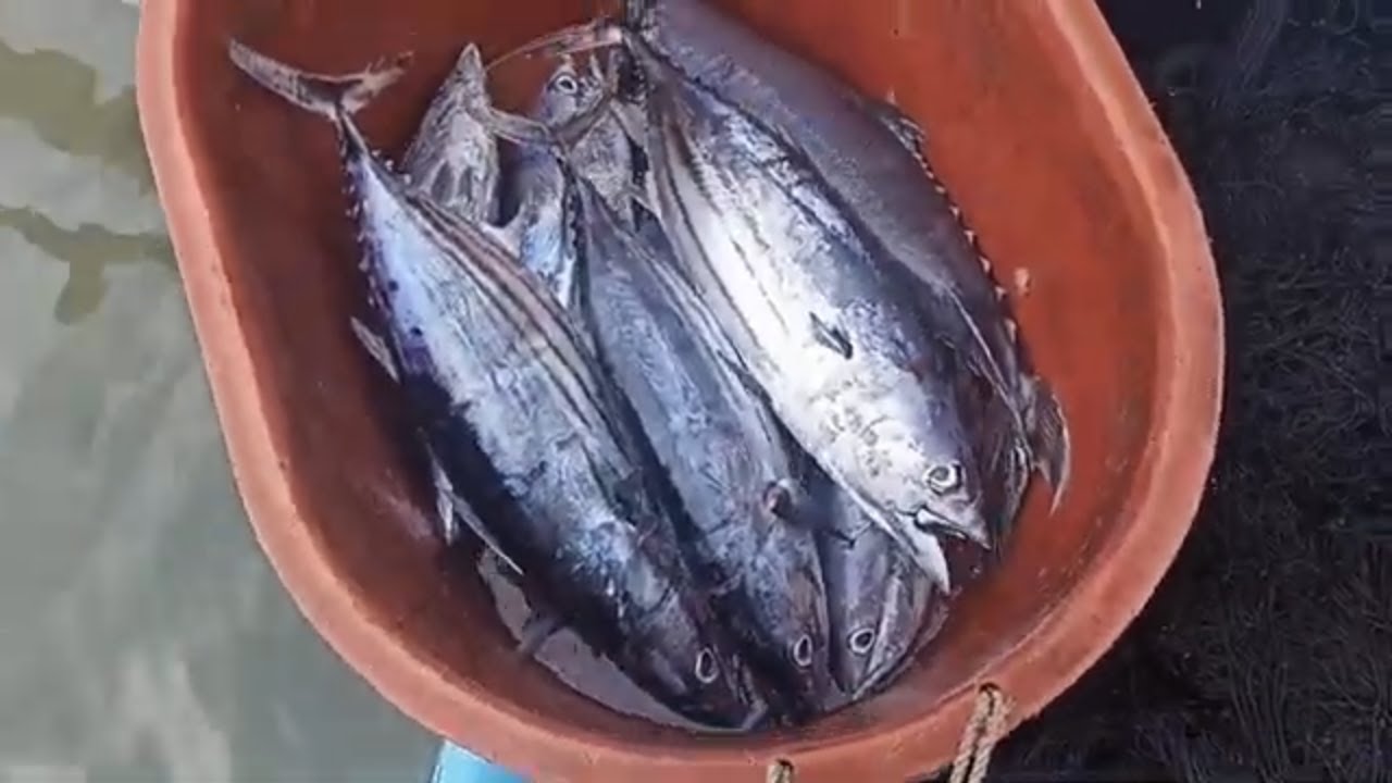 TANGUEGE NA BATANG SARAP NYAN SA SABAW SINIGANG THANK YOU LORD