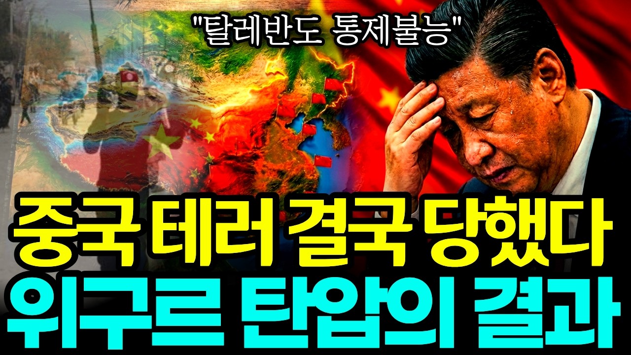 중국 테러 결국 당했다 l 위구르 탄압이 부른 참혹한 댓가 탈레반도 통제 불능
