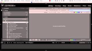 Adobe Photoshop Lightroom 4 Tutorial | Filter with Text screenshot 5