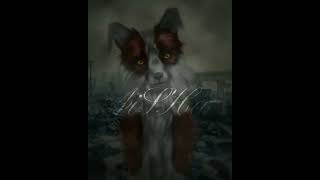 Wild Craft Meme.....