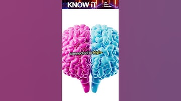 🧠 10 Intriguing Facts About Neurophysics | Where Physics Meets the Brain