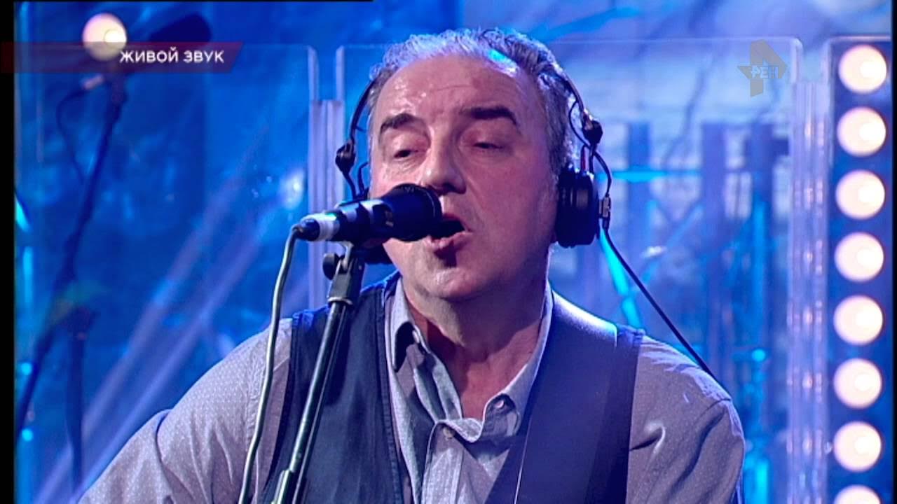 Чайф лошадь моя. Чайф клипы. Чайф белая ворона. Чайф вольный ветер. Чайф псы.