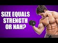 Small But Strong? Big But Weak? 4 Reasons
