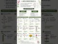 Inflorescence botany Important topic