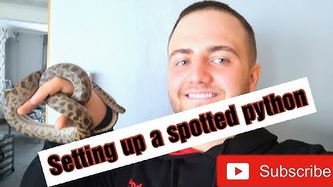 How to set up a spotted python