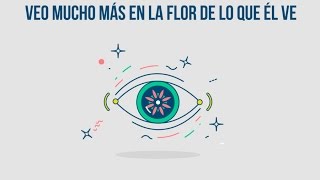 Oda a una flor (Richard Feynman)