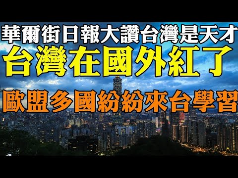 外國人看台灣 台灣之光！ 美國華爾街日報狂讚：台灣人是天才！台灣在國外大紅！ 歐洲國家直呼要來台灣學習 世界看見台灣系列2023