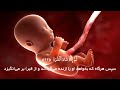 سوره عبس با دلنشین ترین تلاوت عمر هشام العربی