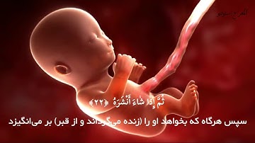 سوره عبس با دلنشین ‌ترین تلاوت عمر هشام العربی⁦❤️⁩