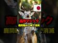 【高市マジック✨】中国「日本旅行NG」宣言→奈良公園の鹿問題が一瞬で消滅!
