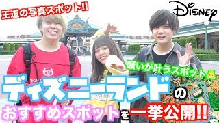 ディズニーランドのオススメスポットはここ！！！！！