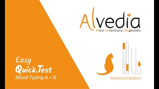 Alvedia | Easy QuickTest Blood Typing (BT) - Feline