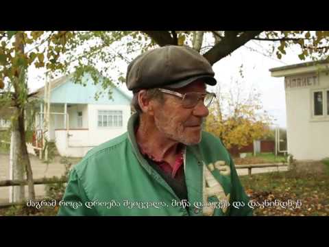 ივანოვკაში მცხოვრები ადამიანები ნიკიტინის სახელობის კოლმეურნეობის შესახებ