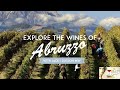 Abruzzo Wine 101: Your Guide to Montepulciano & More