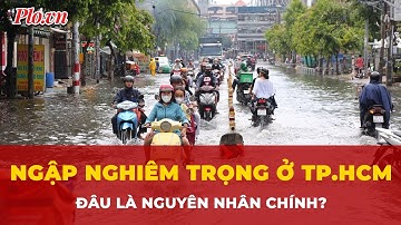 Chuyên gia nói gì khi chứng kiến người dân TPHCM khổ sở vì ngập nặng? | Tin tức