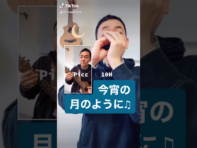 今宵の月のようにエレファントカシマシ
