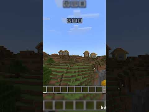 پامکین یعنی کدو