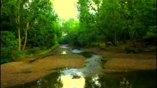 Download Lagu Untuk apa lagi by Utha Likumahuwa. MP3