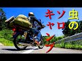 スーパーカブで行く　梅雨入り前のソロキャンプ　虫と焚き火とアルコール　広島県恐羅漢エコロジーキャンプ場