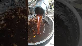 Panen madu Akasia Riau
