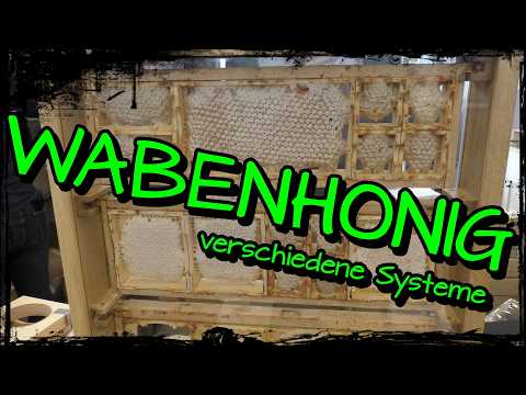 Making comb honey – The different comb honey systems explained | Apiwelt