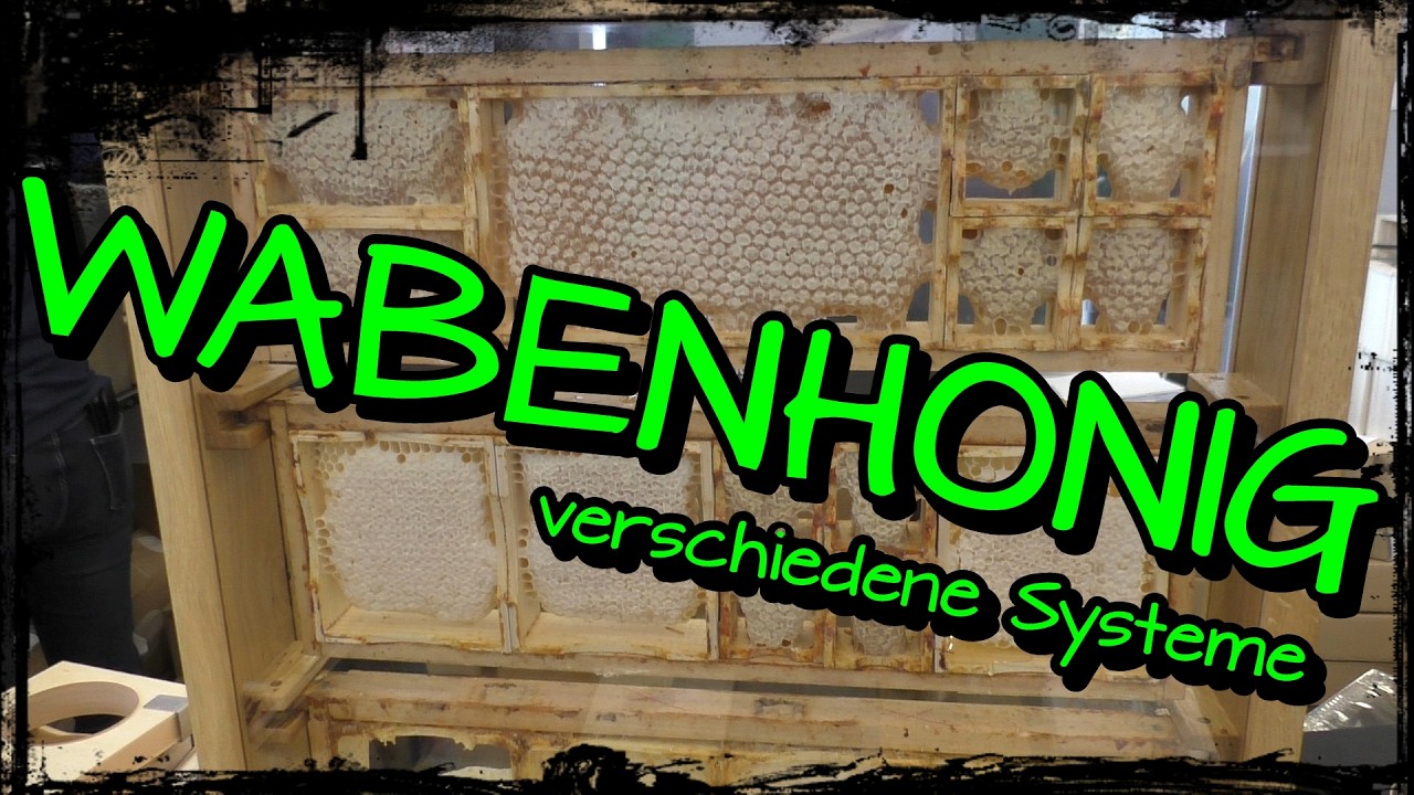 Wabenhonig herstellen – Die verschiedenen Wabenhonig Systeme erklärt | Apiwelt