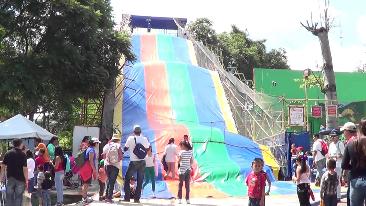 SELVA MAGICA CATARATAS