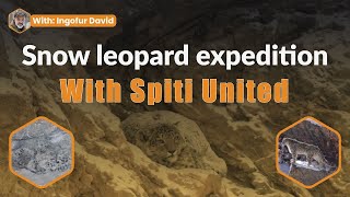 Snow Leopard Expedition With Spiti United | Honest Review of What to Expect.