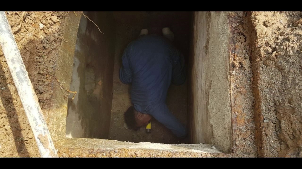 Cute pup rescued from sewerage pipe - YouTube