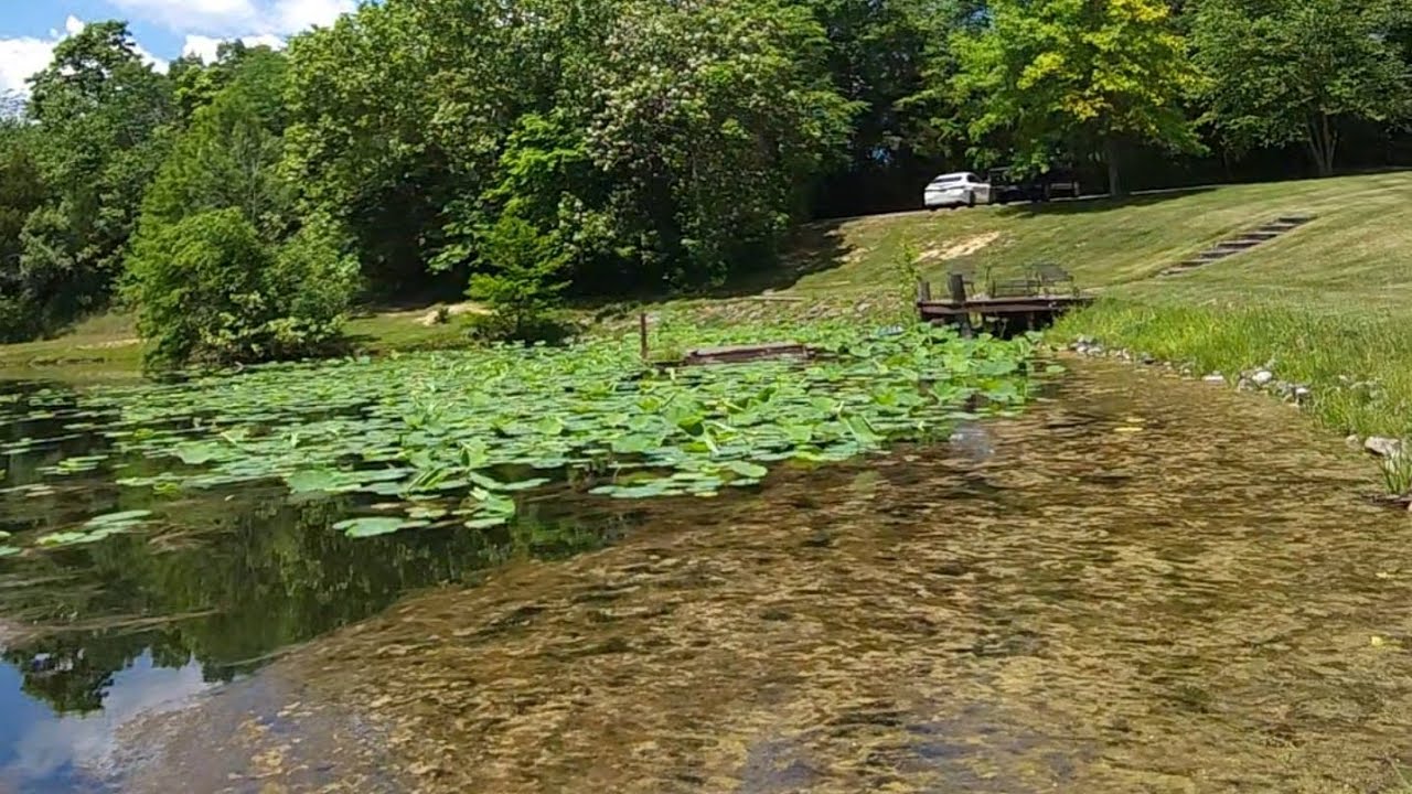 BIG Bass Hunt (short version)