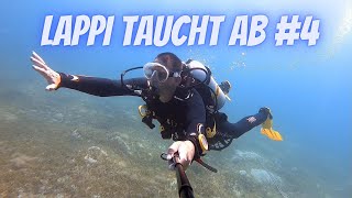 Lappi taucht ab! #4   Highlights unserer Tauchgänge im Urlaub Juni 2024😎