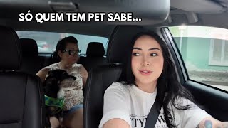 o jeito mais rápido de acabar com o meu dia: cachorro passando mal