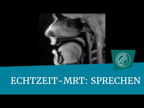 Echtzeit-MRT-Film: Sprechen