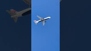 Delta B767-300Er Takes Off From Jfk To Orlando, Florida Mco