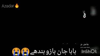 Baba Jaan Farhan Ali Warisazadarwhatsapp Status