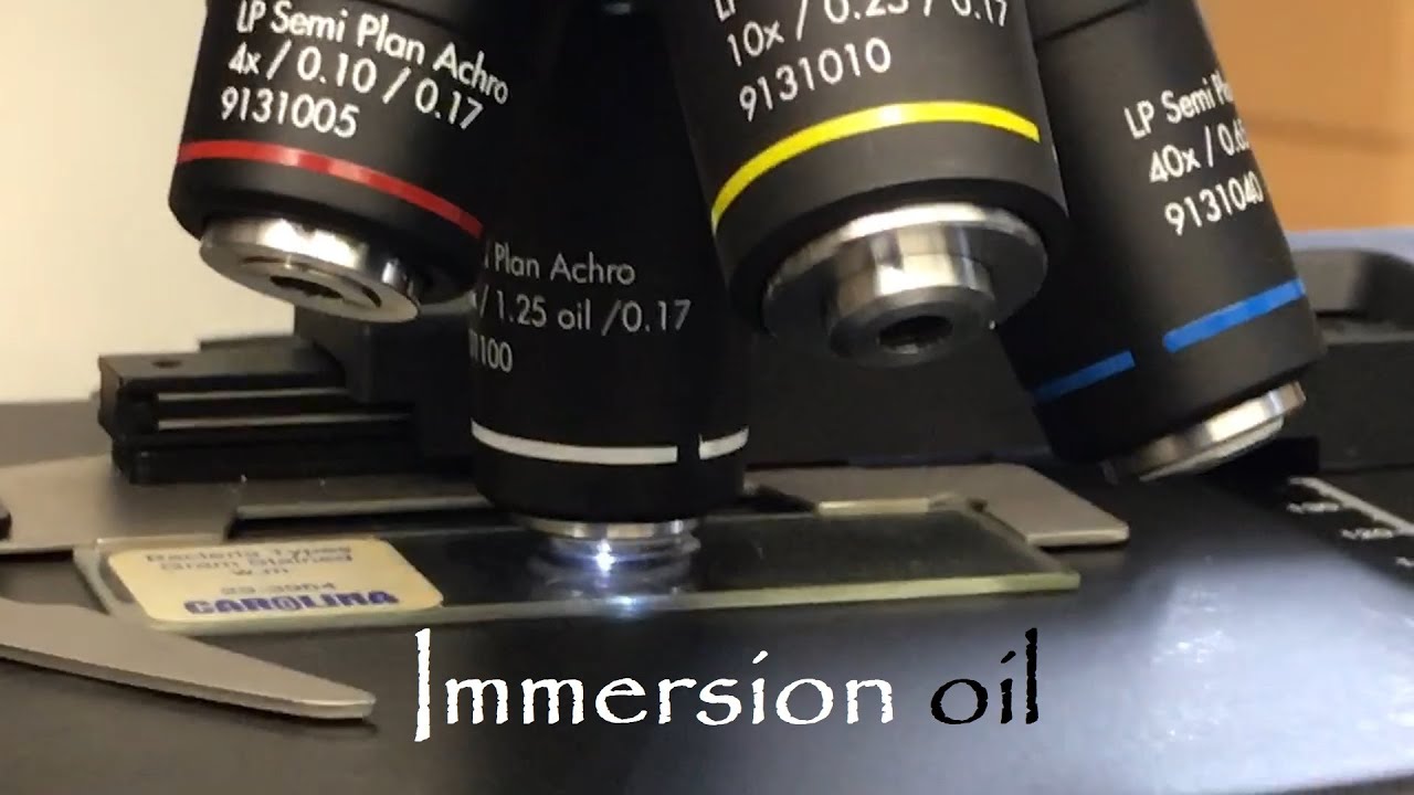 Immersion oil 🔬🧫 YouTube