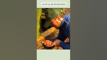 Người đàn ông sống sót trong rừng Biến cây đổ thành hầm trú ẩn chống lại hổ và bầy sói