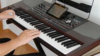 Albany von Roger Whittaker gespielt auf dem Korg Pa 1000 Musikant