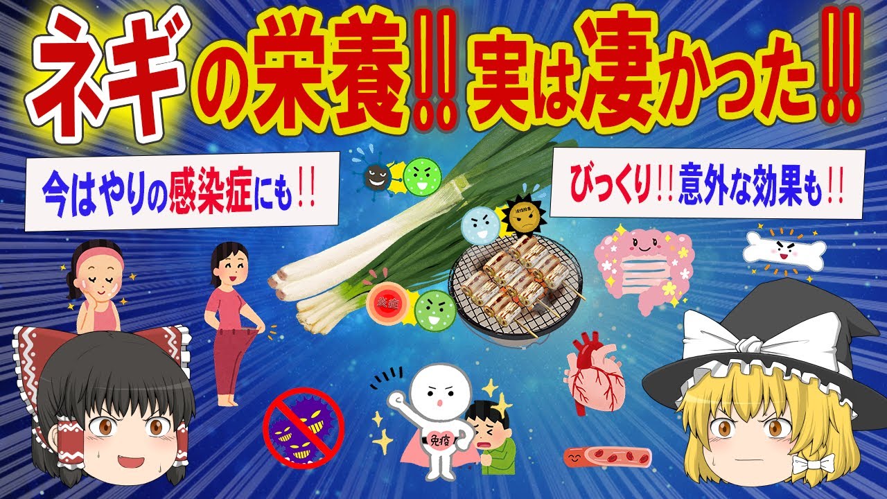 ネギは実は栄養豊富で様々な健康効果や美容効果が期待できる食材です。ネギの種類ごとの健康効果と注意点などを解説‼【ゆっくり解説】