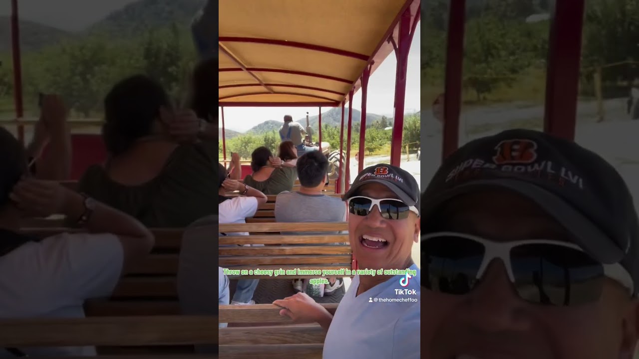 My favorite place to pick apples.