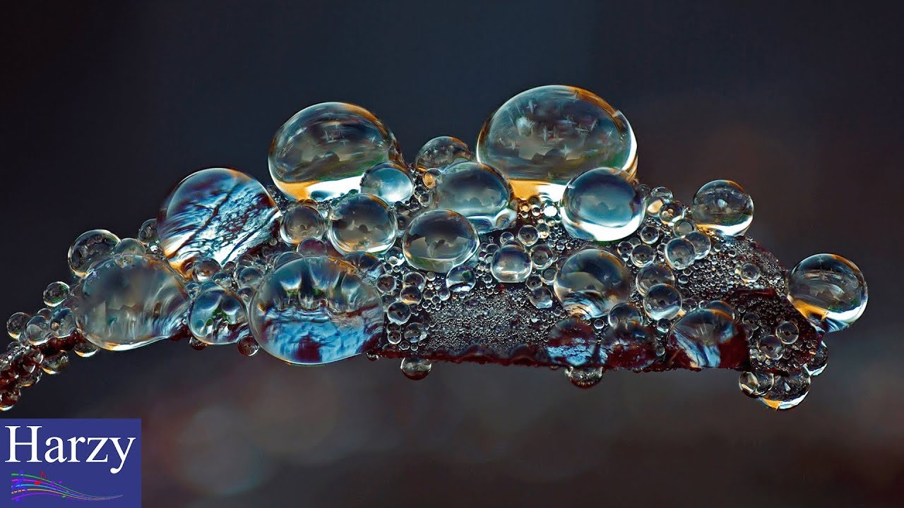 Foria - Break Away (NCS Release) [1 Hour Version]