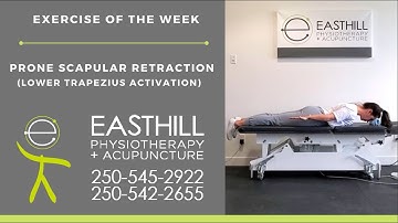 Prone Scapular Retraction - Lower Trapezius Activation | Easthill Physio | Exercise of the Week