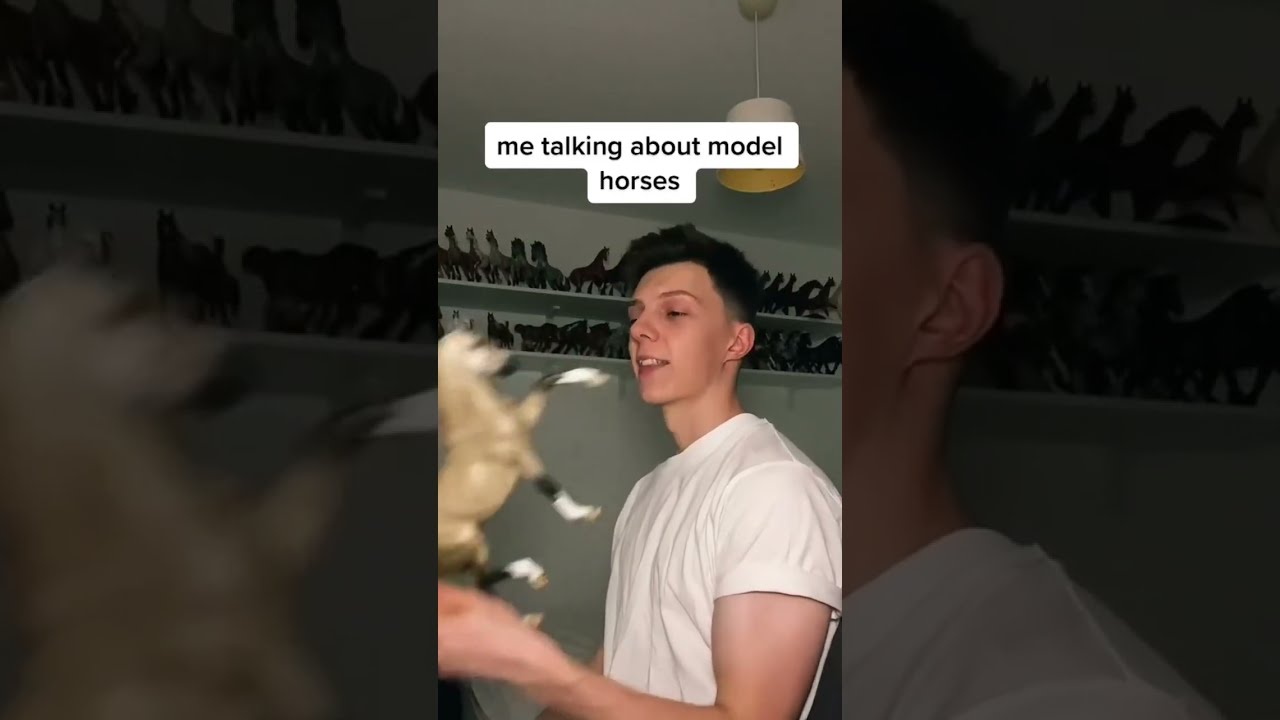 Model Horse Collectors Will Understand.. 😫 