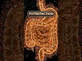 What Happens to Your Body After Death | Death Is Not a Moment | ATP | Autolysis | Putrefaction
