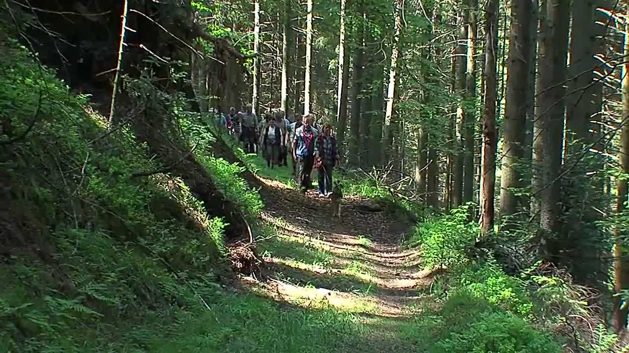 Naturerlebnis Taubentalweg