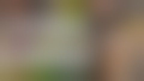 fallout 76 cheater [hacked Weapon]