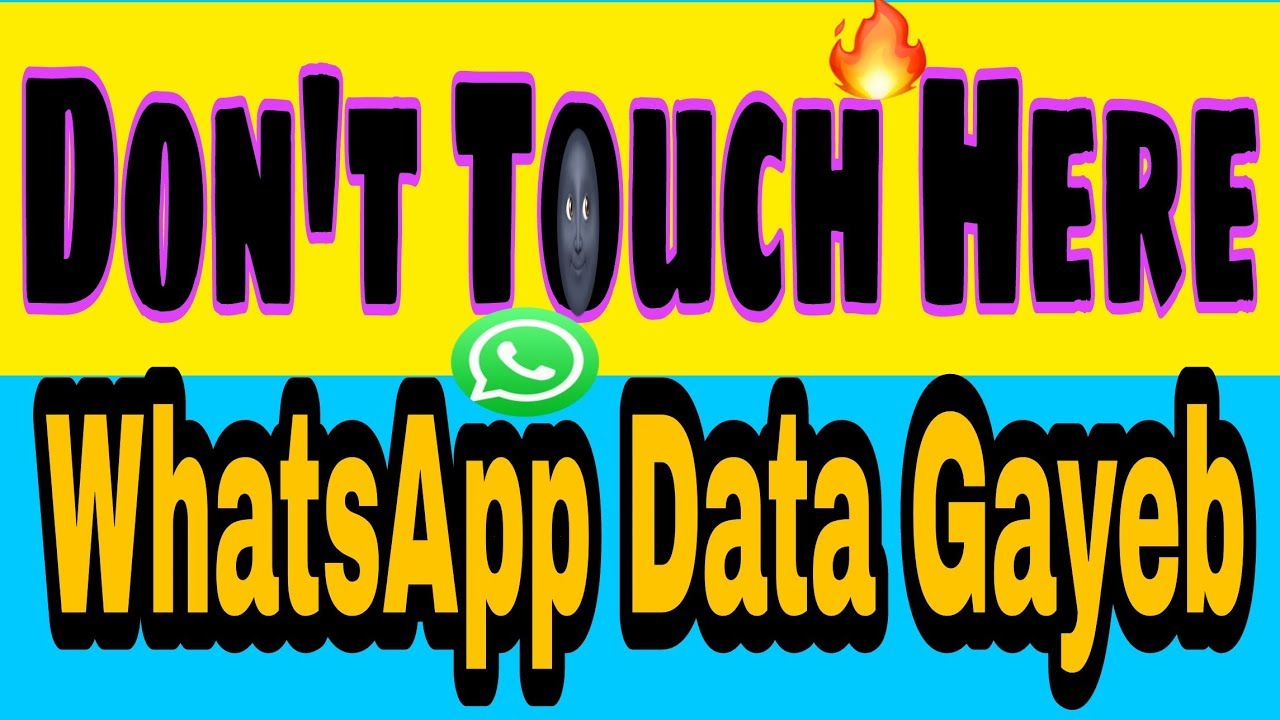 WhatsApp Data - ASCII Bug - Don't touch here || Ashish Nayak