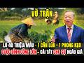Tin Tức Thời Sự 24h Mới Nhất Hôm Nay: Nỗi Đau Người Nông Dân Bỏ Ruộng Vì Hạt Lúa Rẻ Hơn Kẹo Cao Su