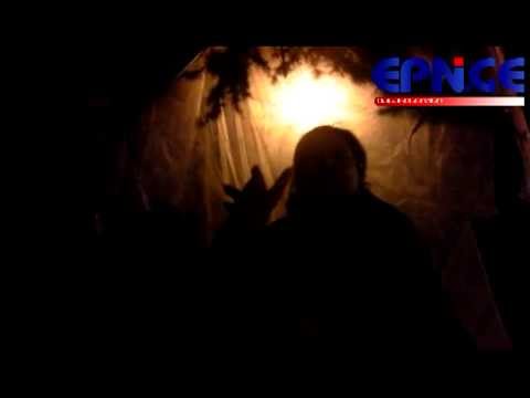 სოციალურად დაუცველები ქუჩაში commentaries epn.ge