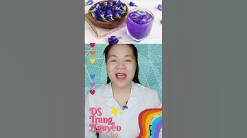 Uống nước hoa đậu biếc có tác dụng gì cho sức khỏe #hoadaubiec #hoađậubiếc #duocsitrangnguyen